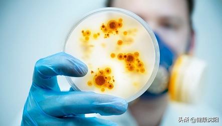 世界防治结核病日健康科普,世界结核病防治日科普