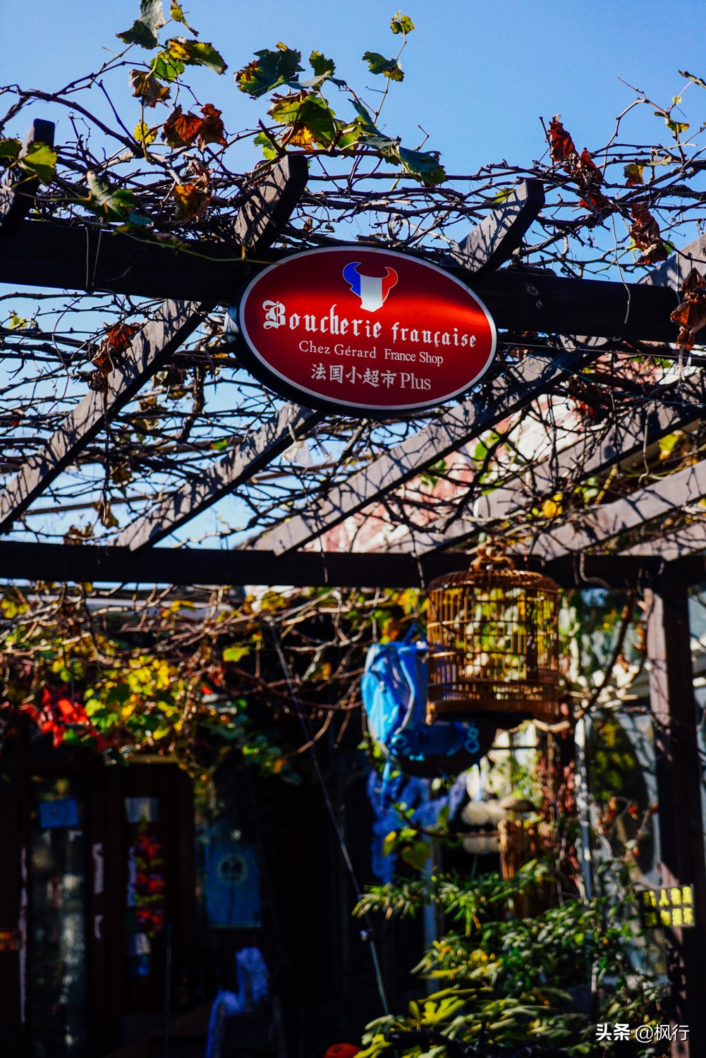 北京18个看银杏的好地方在哪,北京八大处看银杏攻略