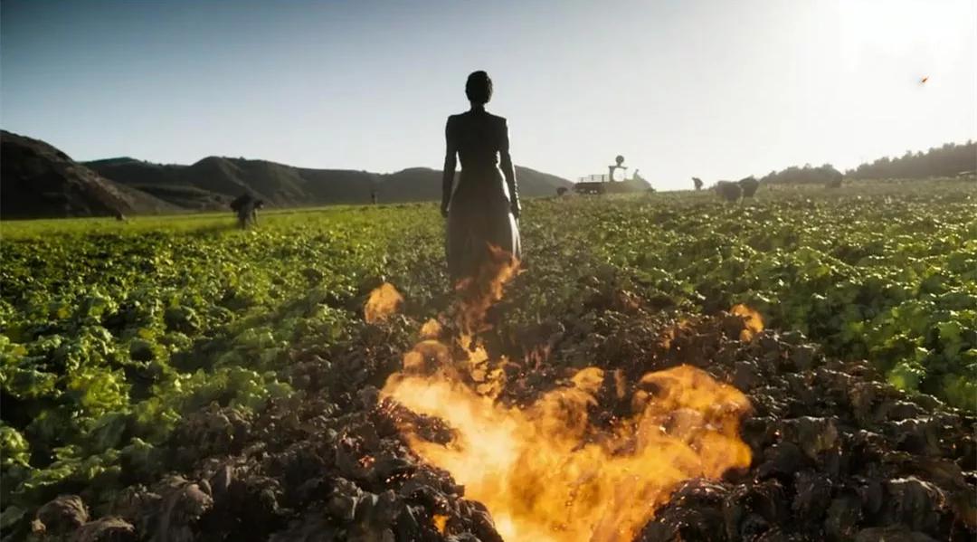 伊娃格林小玫瑰,邪魅女王伊娃格林