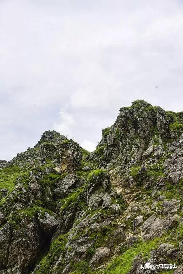 探秘汉中,汉中一村子窜入野生羚牛