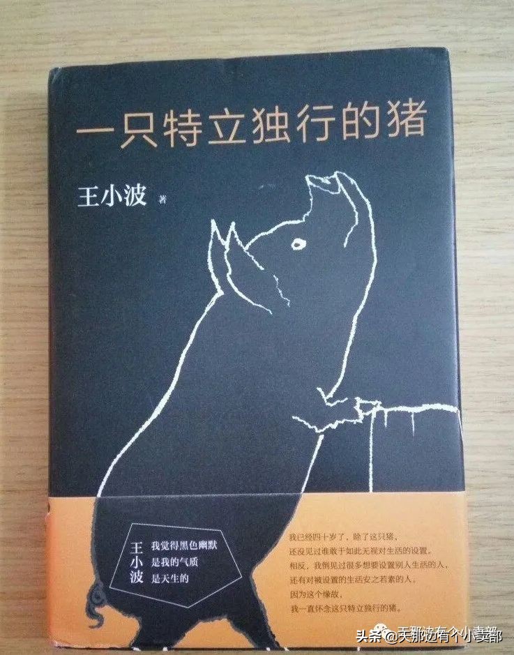 一只特立独行的猪17,一只特立独行的猪143