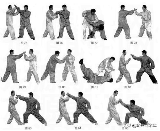 陈氏太极拳推手与拿法书,武术散手基本动作