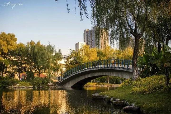 江苏省省长河海大学,江苏省河海大学