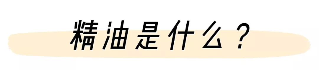 精油入门必备护肤品,平价单方精油推荐面部