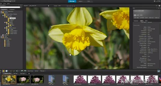 photoshop图像图形处理推荐软件,photoshop7.0排版
