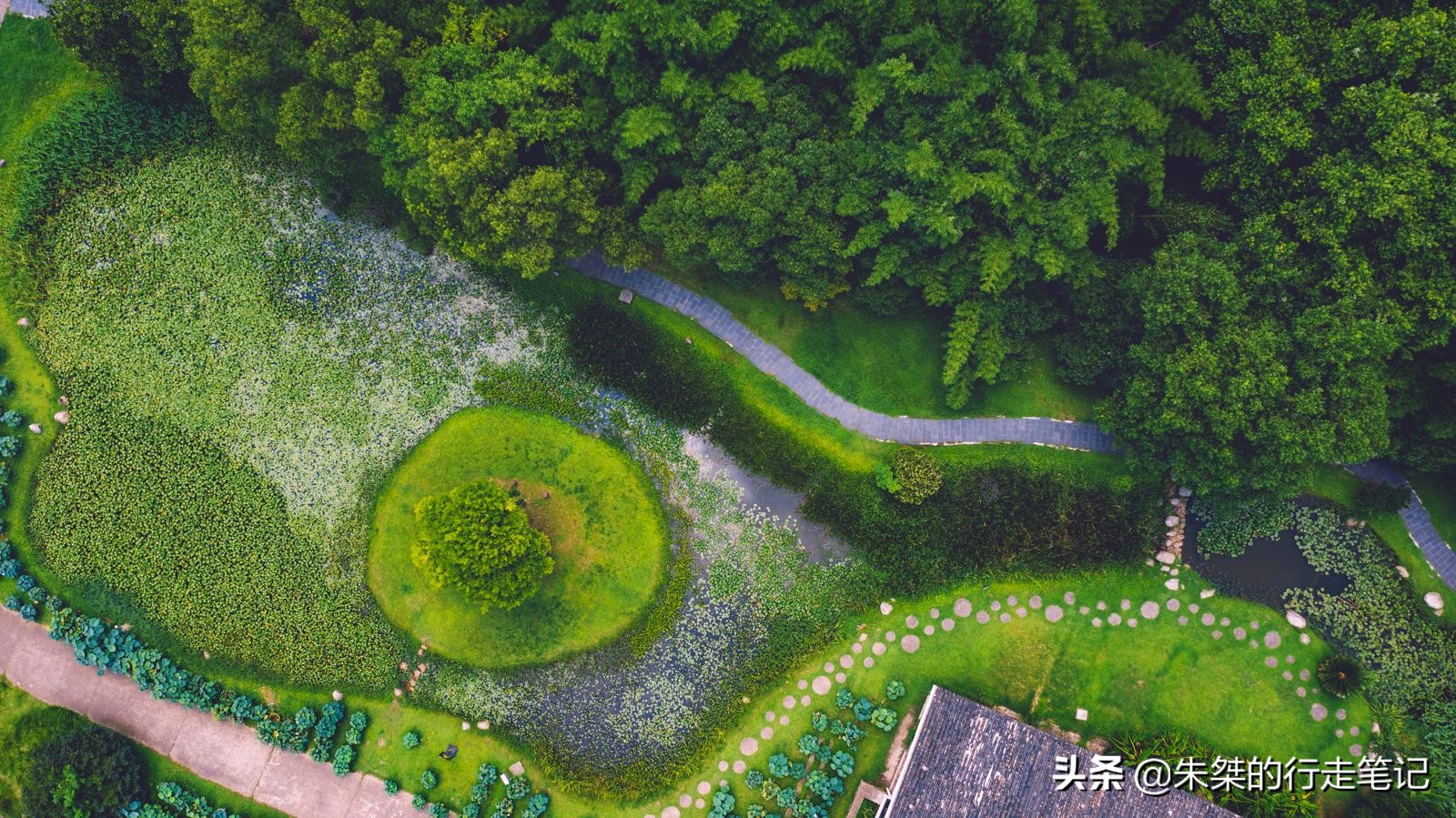 武汉是全球公认的三大赏樱胜地,世界三大赏樱胜地是无锡还是武汉