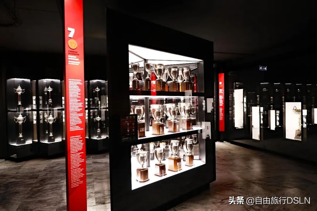 在葡萄牙旅游,葡萄牙体育里斯本竞技本菲卡