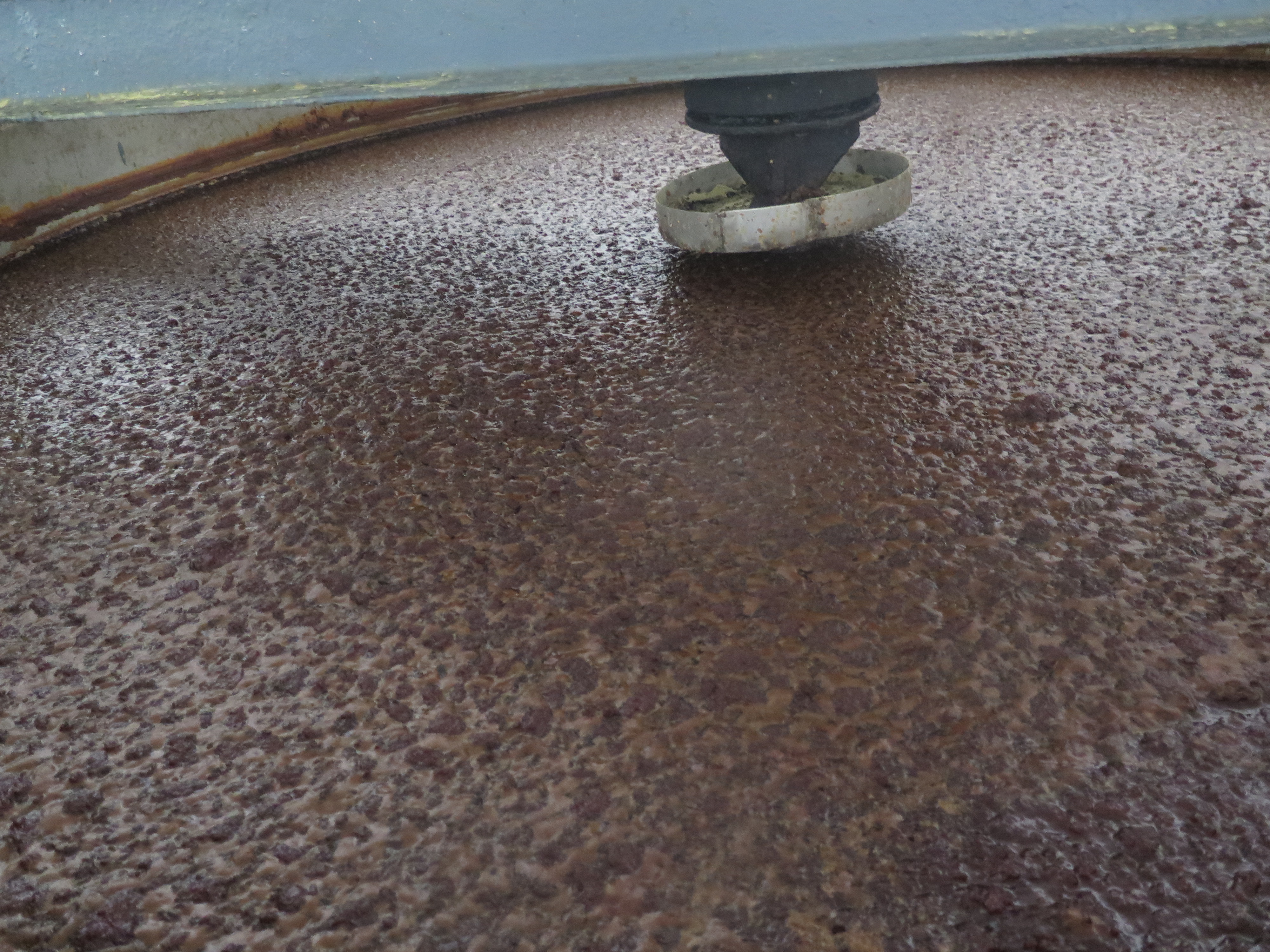 罕见缸养鱼,晒酱专用大缸