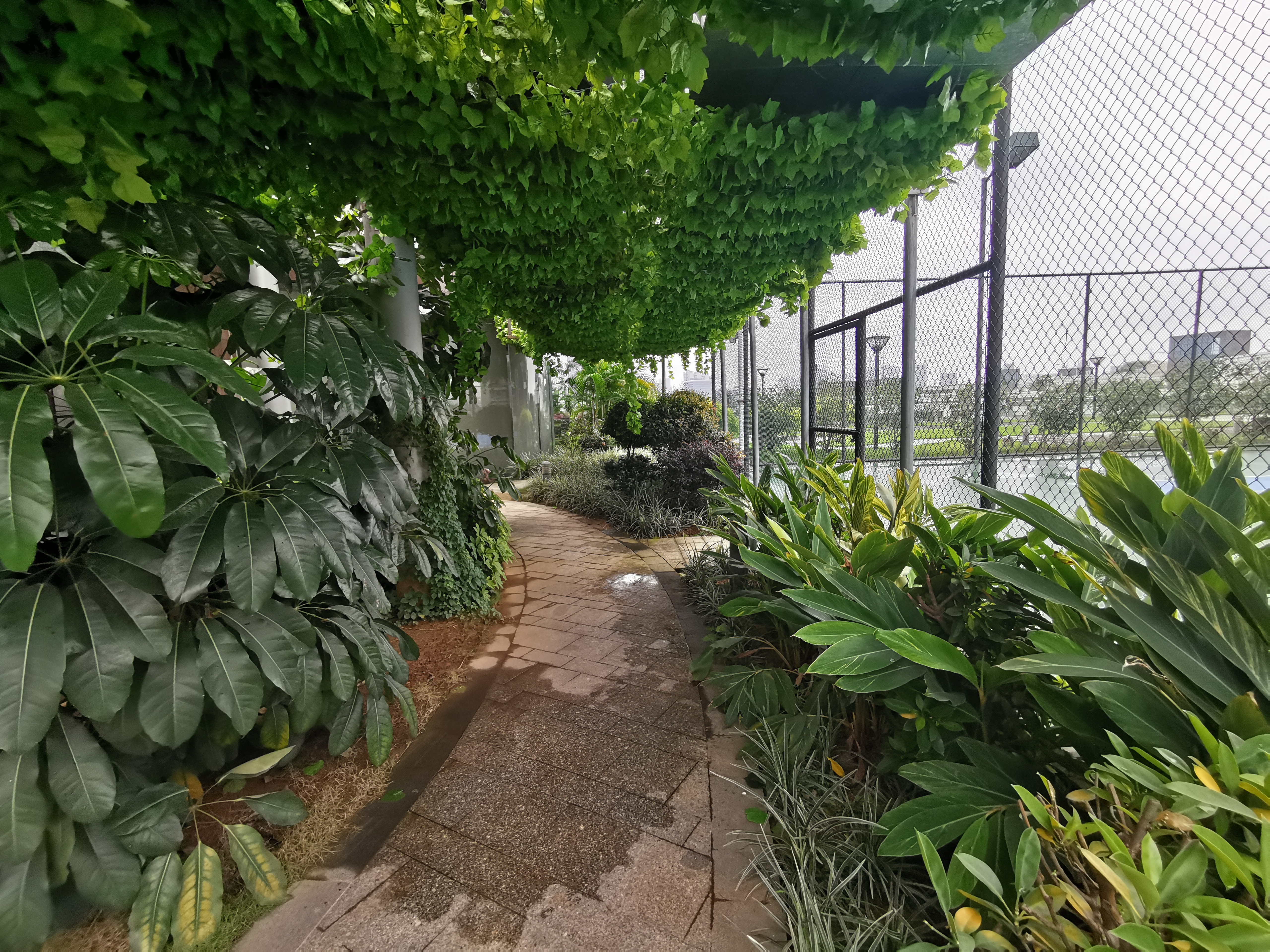 广州汇华希尔顿逸林酒店月饼,广州汇华希尔顿逸林酒店自助餐厅