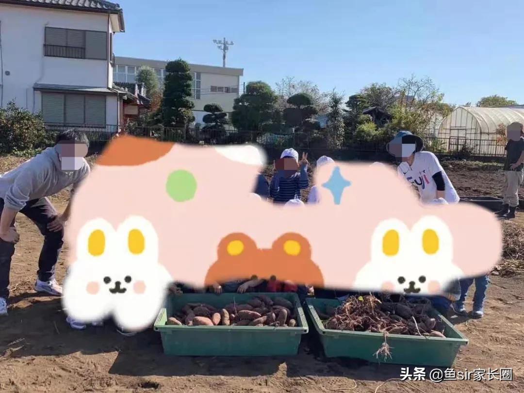 疫情一年，我在日本如何鸡娃？这位妈妈的几个回答亮了