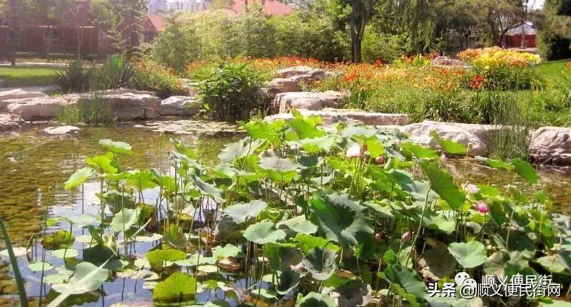 顺义65岁免费景点,顺义2022年免费景点