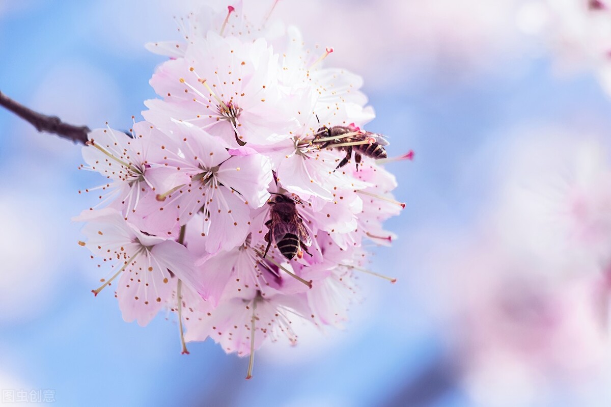钟南山院士还健康吗,钟南山院士的健康秘诀的视频