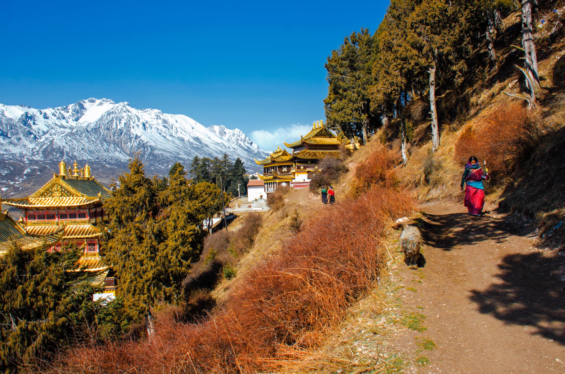 有一种美叫九寨沟,有一种美丽叫若尔盖