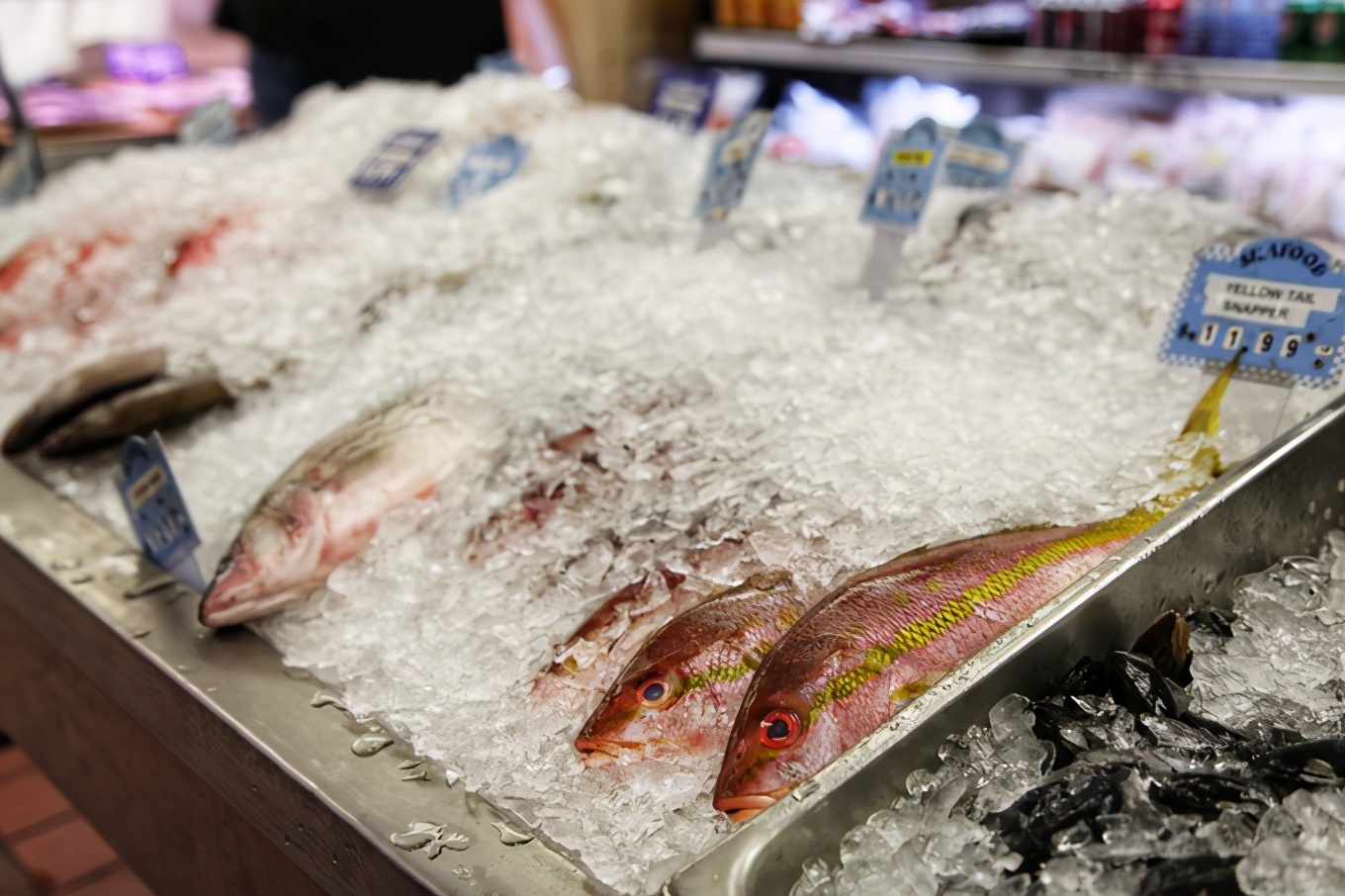 「怀念系列」加拿大（5）｜品尝奥巴马同款枫叶糖