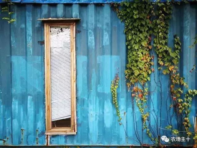 从零开始打造一个优质亲子农庄,从亏损近2亿到盈利35亿的逆袭