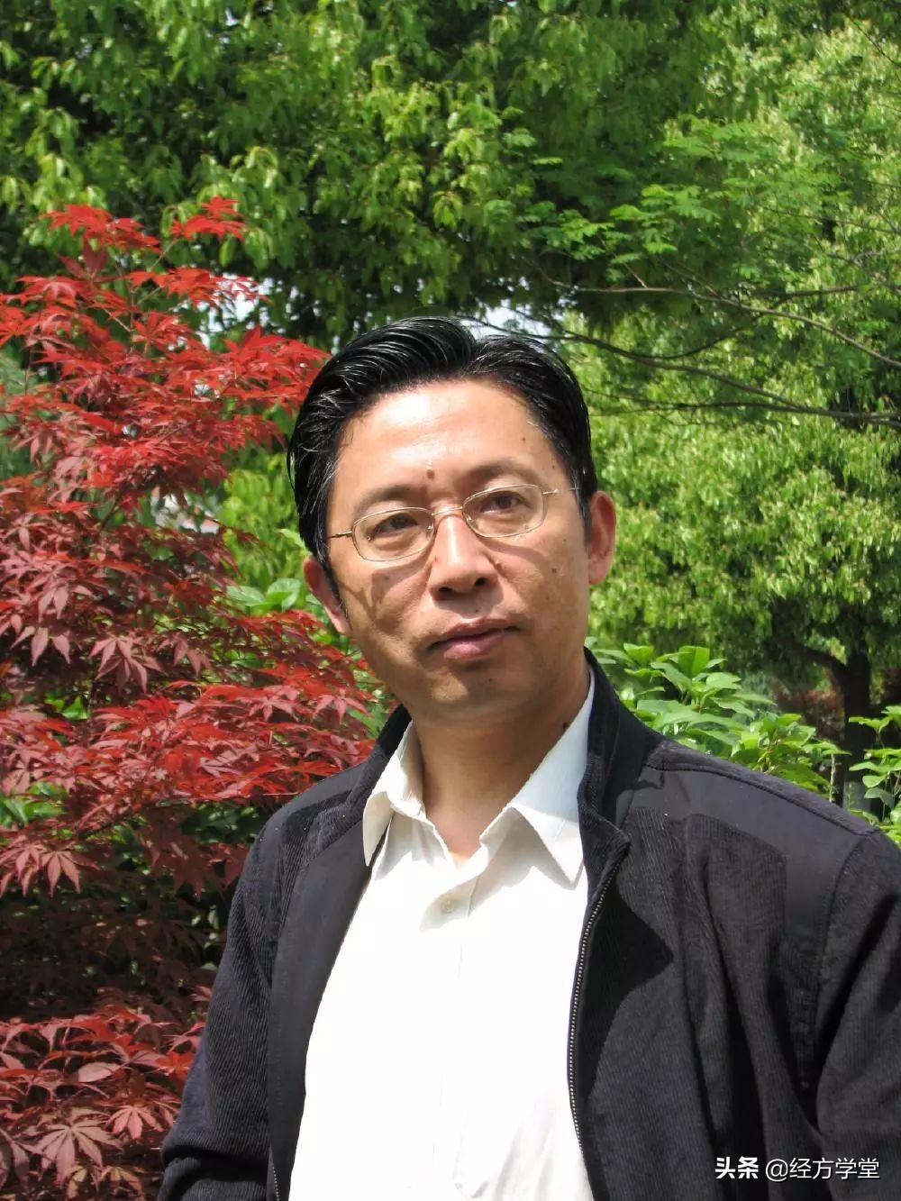 经方的魅力黄煌谈中医,经方风采黄煌完整版