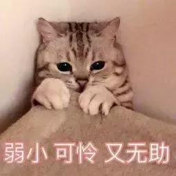 男性怎样清洗避免女性得妇科病,女性得妇科病对丈夫有什么危害