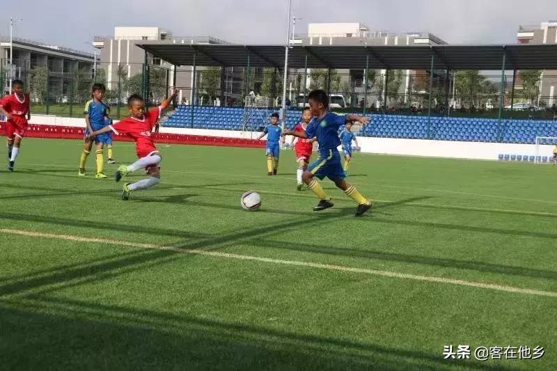 菁英杯足球赛直播,菁英杯广东赛区