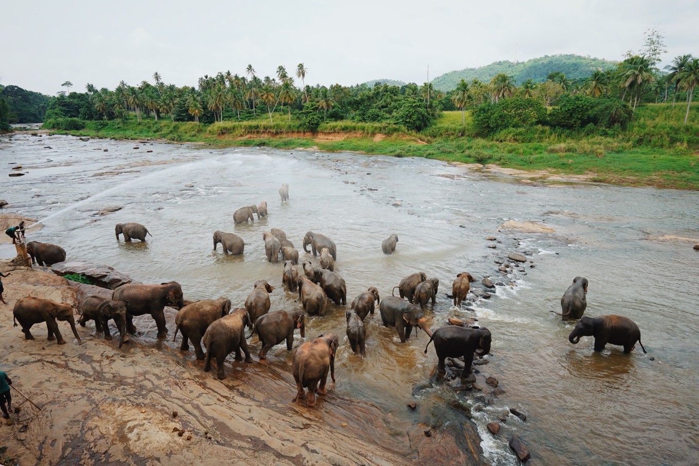 带着甜甜奶茶香的斯里兰卡小环岛之旅+两家安缦全体验