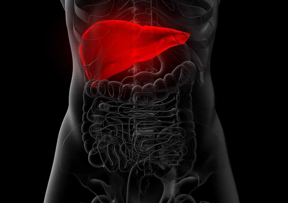 目前临床中的保肝药哪个药比较好,如何正确认识不同种类的保肝药物