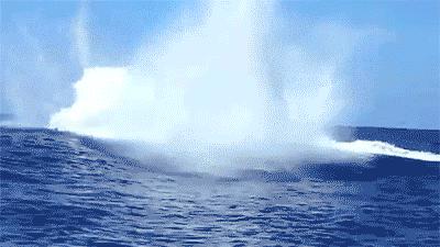 衍鲸：影视授权和衍生品是一片海洋，我们要做一只鲸鱼