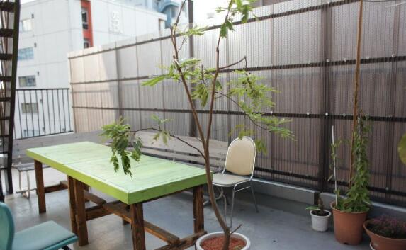 jcli日本语学校在哪个区,jcli日本语学校学费多少钱