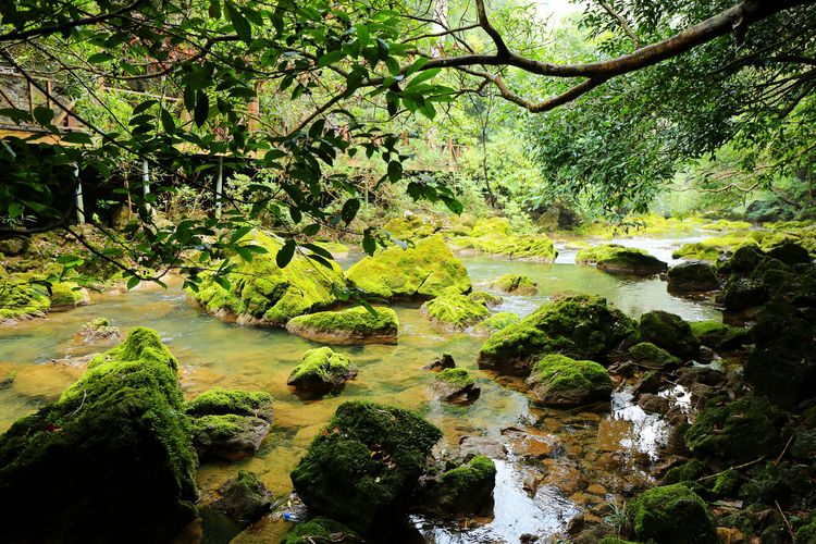 小七孔游记,小七孔五天游