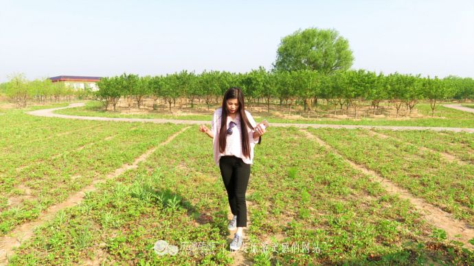 东土大唐取经路,东土大唐一条街