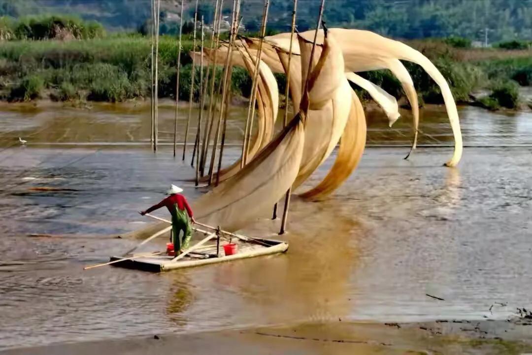 手拍世界-2021年09月各周最佳作品专集（总第716期）