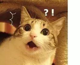 中国代购买的最火的日本眼药水,日本代购眼药水