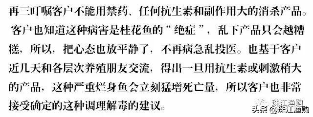 桂花鱼烂鳃怎样治,桂花鱼烂身怎么处理