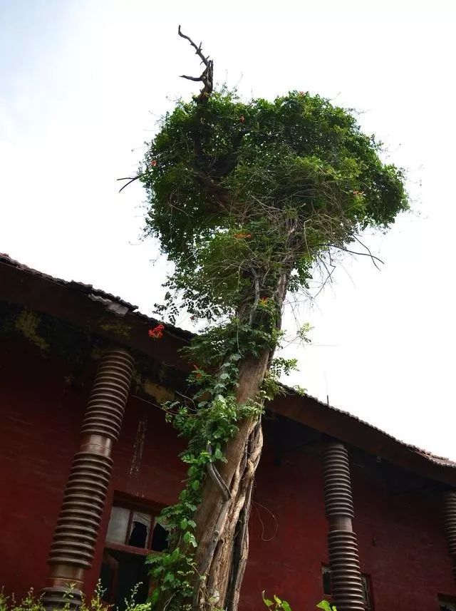 禹州聂政台简介,禹县聂政台