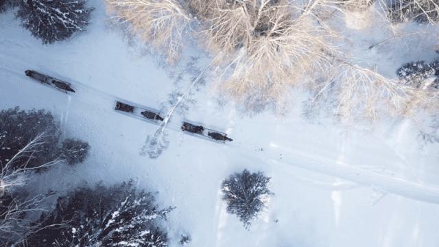 鍫瘮鐟炲+鐨勪腑鍥芥粦闆満,濯茬編鐟炲+