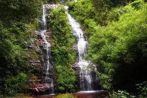 昆明周边适合露营的森林,昆明附近露营风景好
