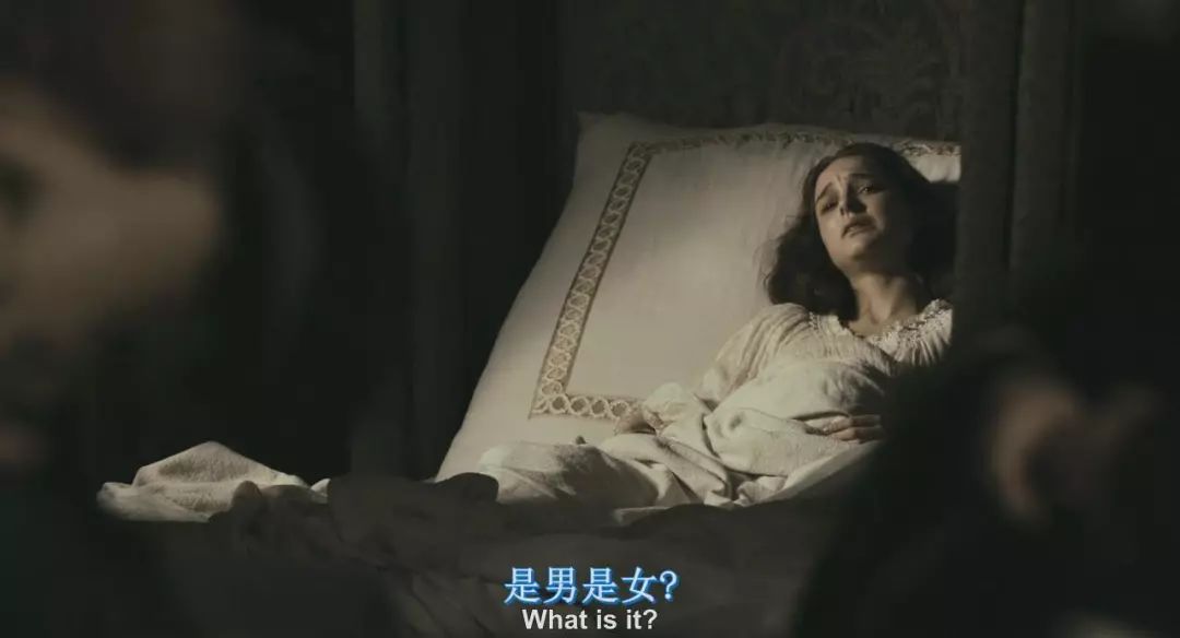 两大女神上演荒诞后宫对决，这片连龙套都是影帝！