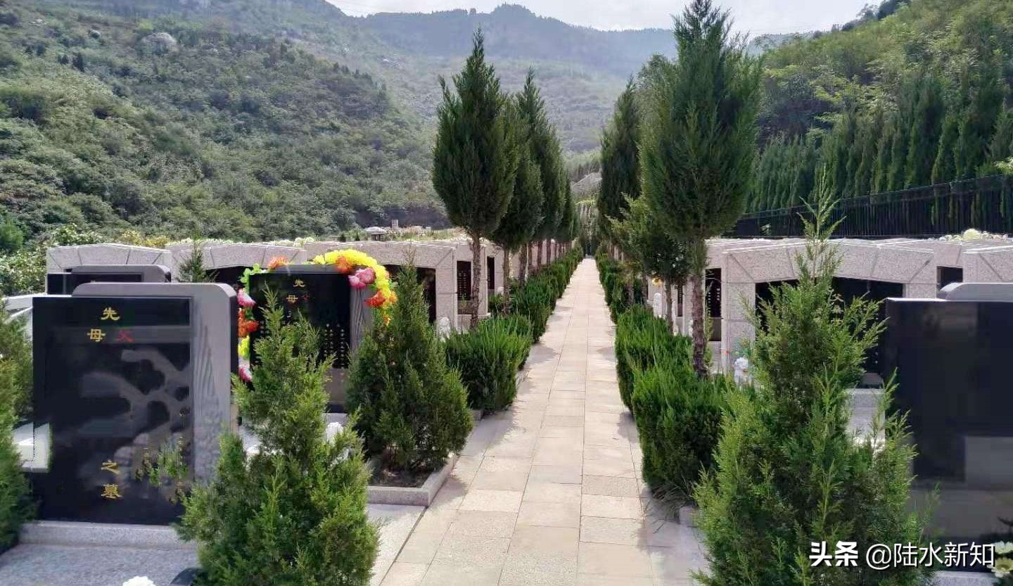 殡葬业房地产,殡葬行业的毛利率怎么算的