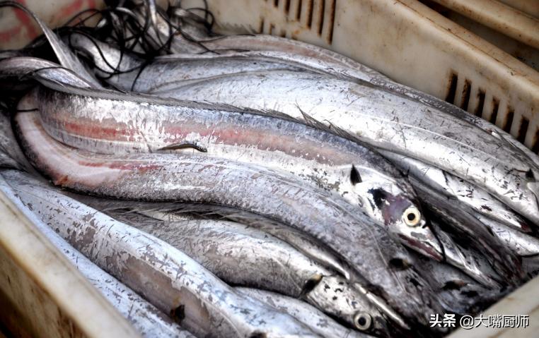十几一斤和二十几一斤的带鱼区别,为什么带鱼段就几块一斤
