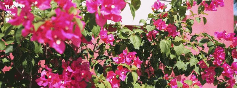 南宁人去隆安玩,南宁人去柳州玩