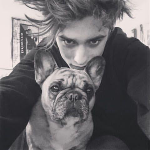 法国帅气男模,法国英俊男模成最帅伏地魔