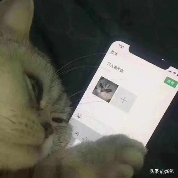 宋妍霏私服穿搭太时髦,土的掉渣时装表演