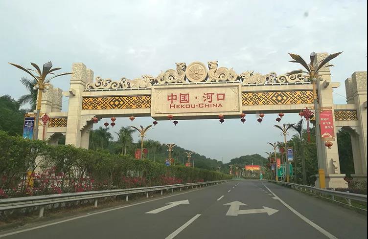 甜到不用糖泡的小菠萝,特别甜的小菠萝蜜