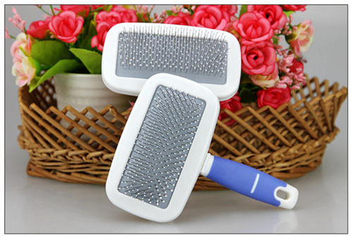 牛掉毛痒是怎么回事,英短掉毛是什么原因