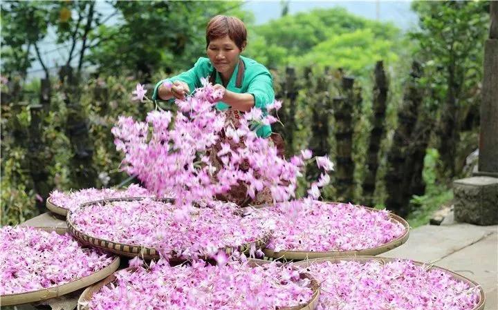 革命老区遵义贫困县全部出列