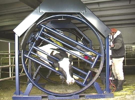 韩铁柱：新产牛疾病防治