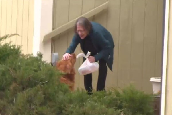 独居老人无法出门，狗狗超开心帮忙：本汪帮你买东西！