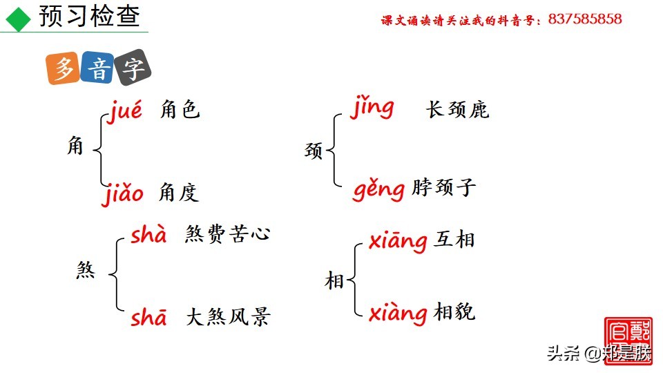 七上人教版第十七课动物笑谈课件,七上语文动物笑谈