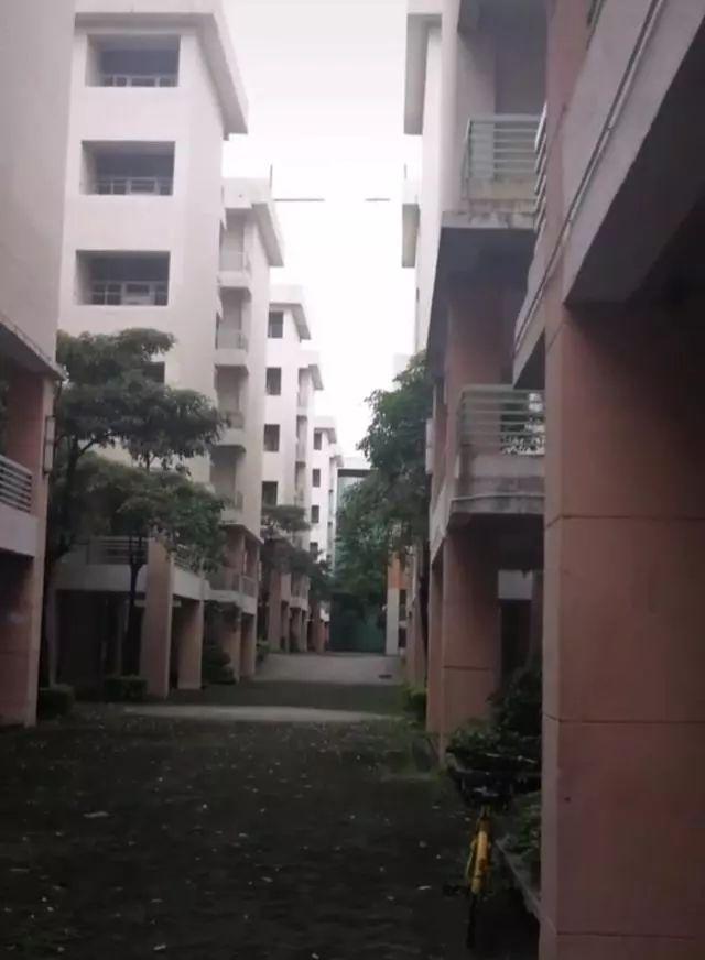 裕元鞋厂现状,曾经的裕元鞋厂视频