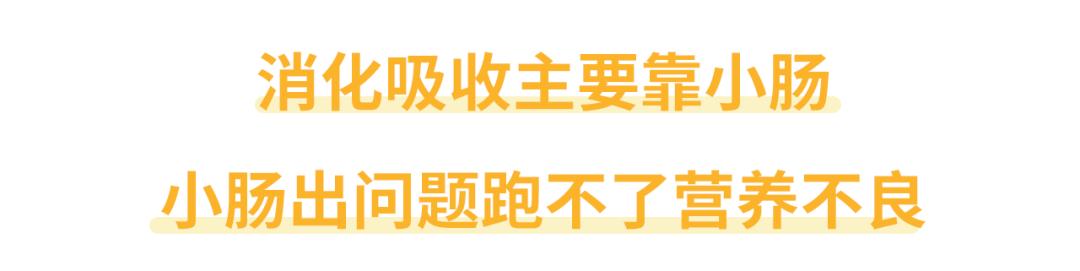 吃完东西就拉肚子营养被吸收了吗,吃了东西就拉肚子是胃炎吗