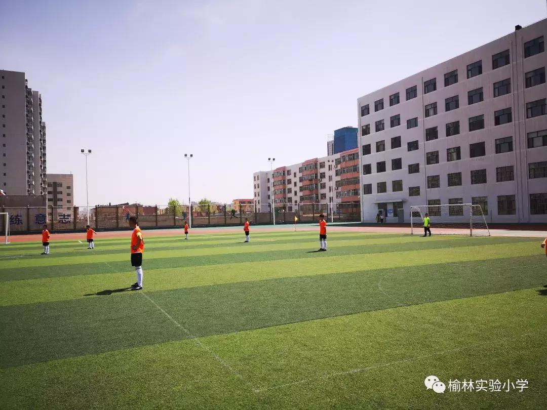 阳光少年展自我风采演讲,阳光少年展示