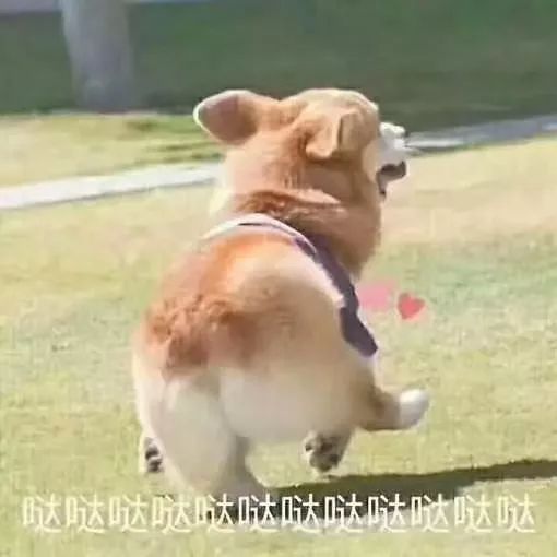 毕业论文常见的问题及解决方法,毕业论文写作常见问题及解决方法